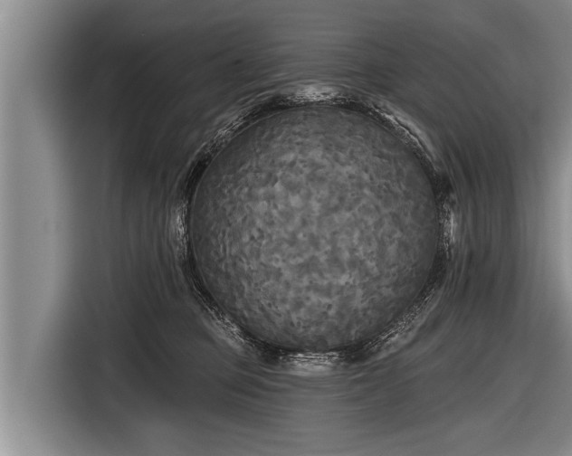 X0000116850373200912291245