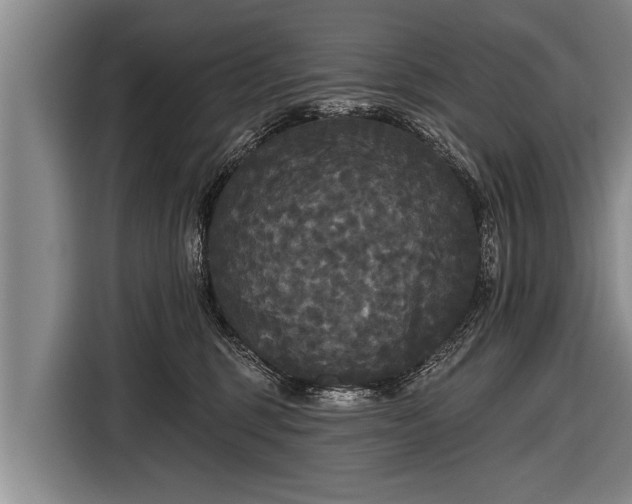 X0000116850375200912291245