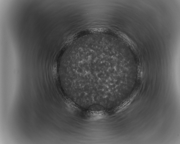 X0000116850377200912291245