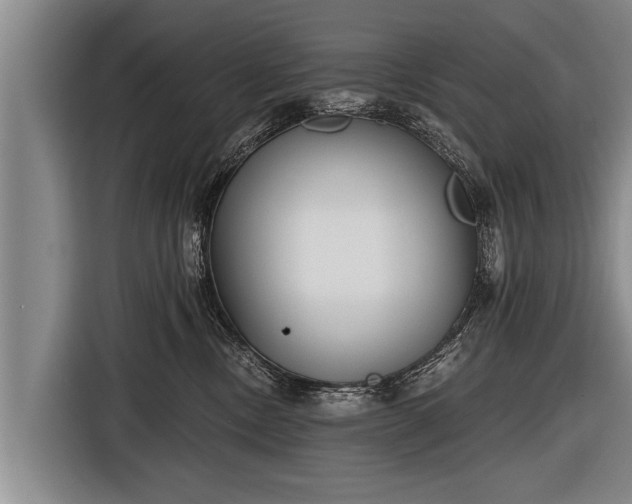 X0000116850378200912291245