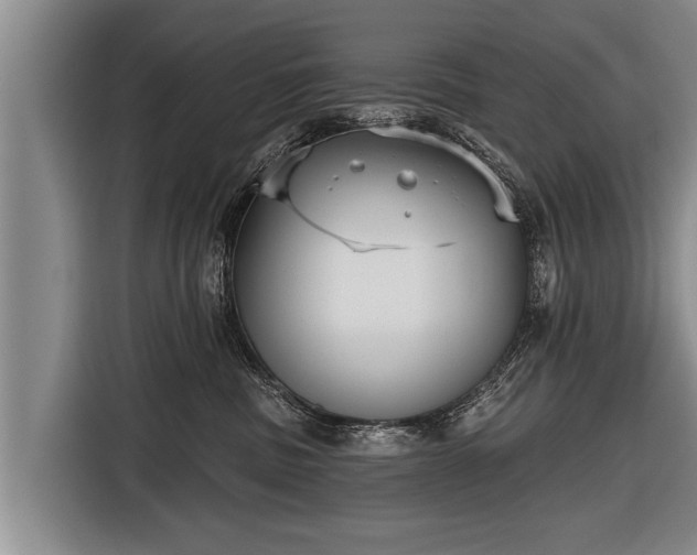 X0000116850379200912291245