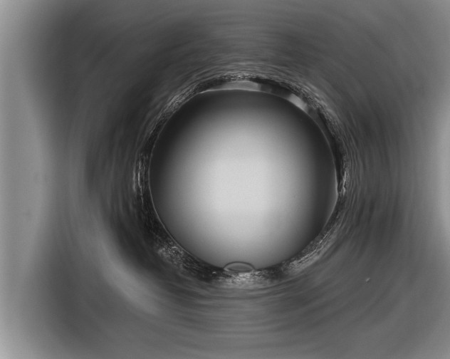 X0000116850382200912291245