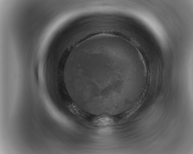X0000116850383200912291245