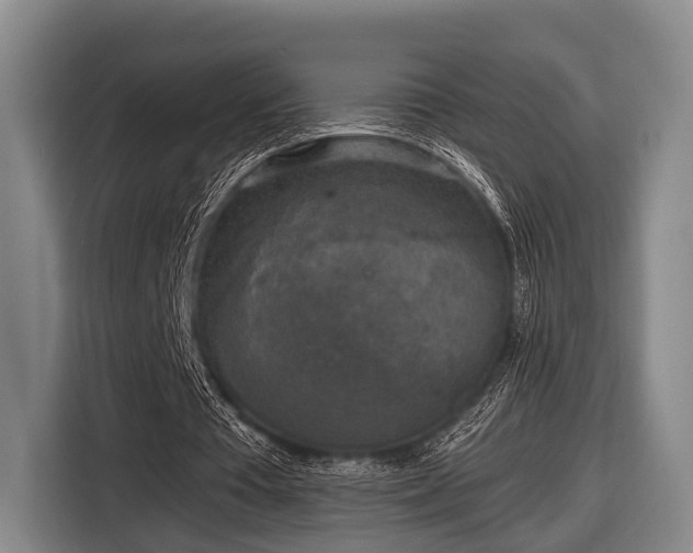X0000116850385200912291244