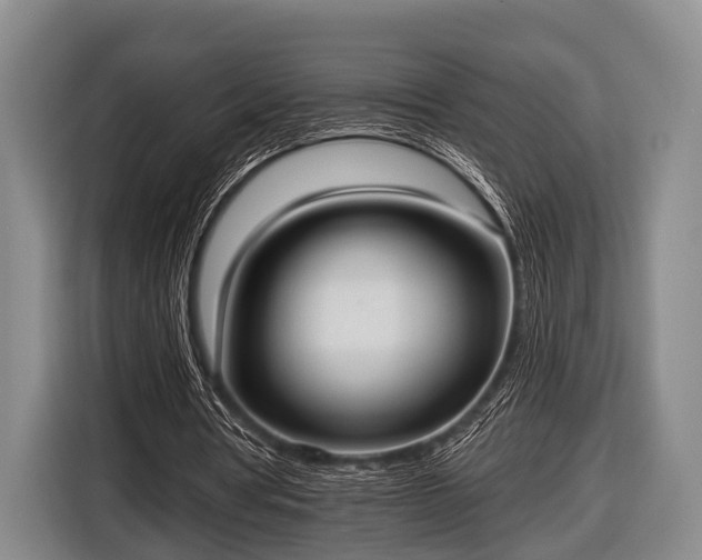 X0000116850386200912291244