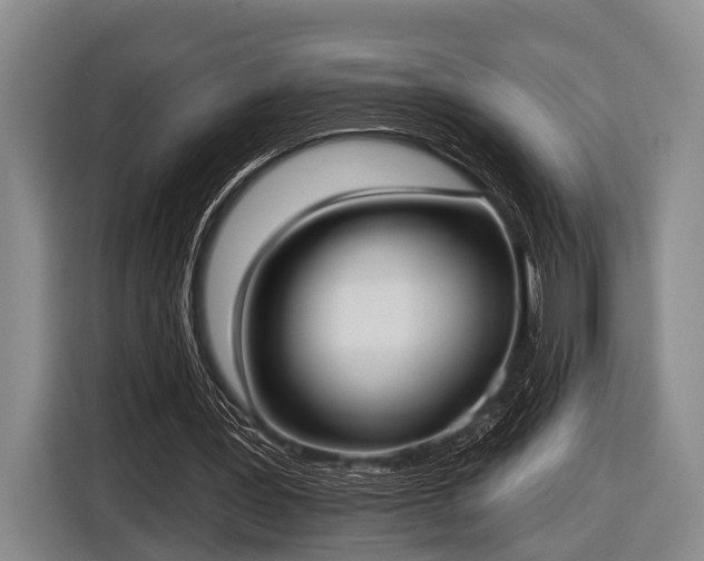 X0000116850387200912291244