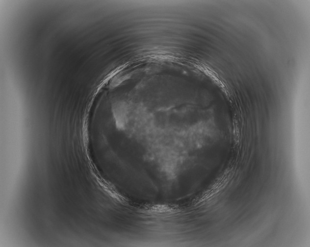 X0000116850390200912291244