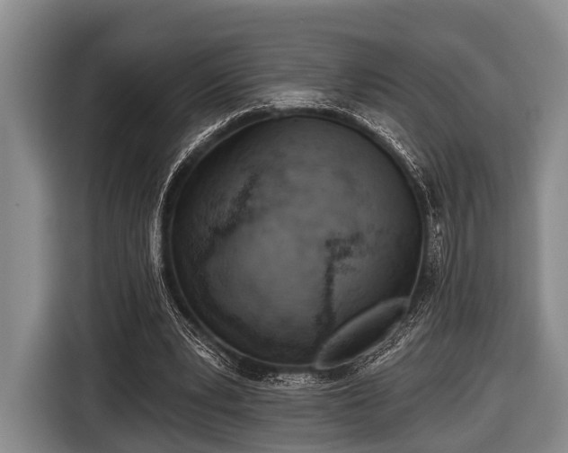 X0000116850391200912291244