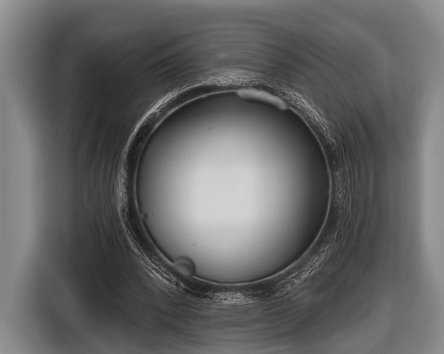 X0000116850392200912291244