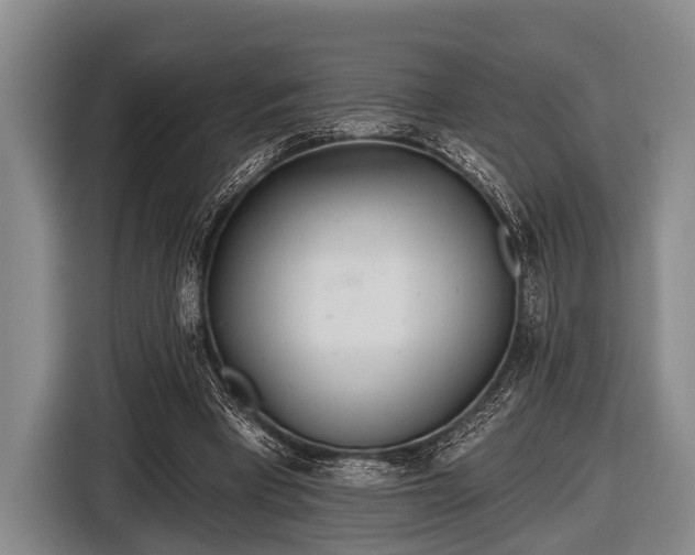 X0000116850393200912291244