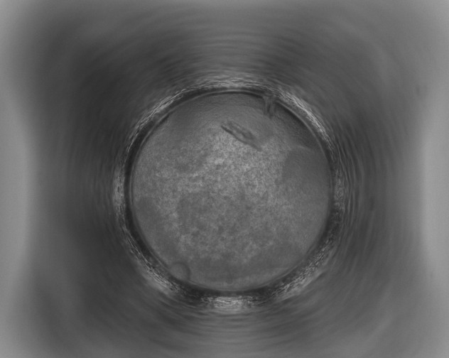X0000116850394200912291244