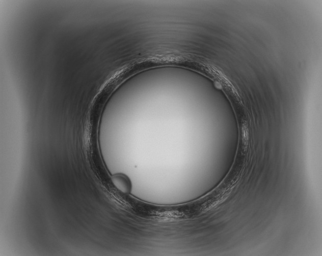 X0000116850396200912291244