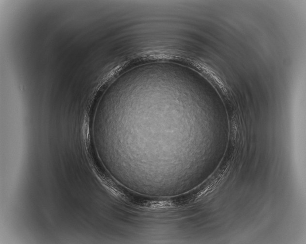 X0000116850398200912291244
