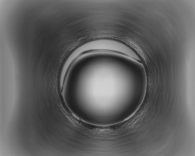 X0000116850401200912291244