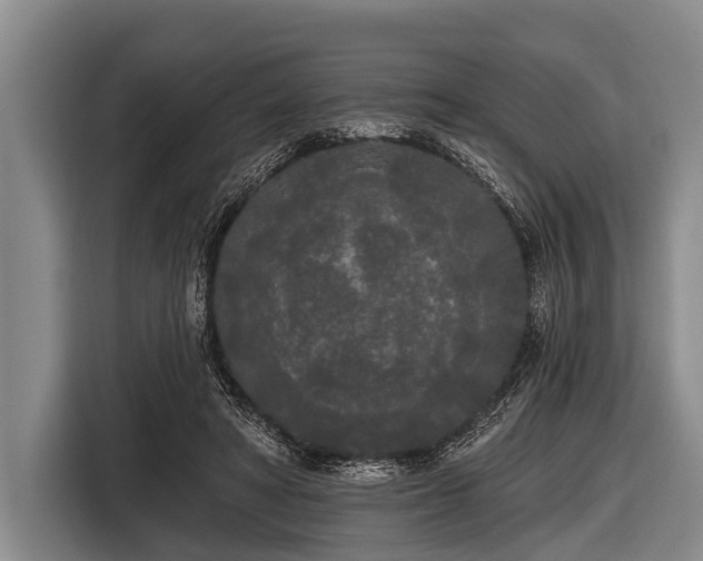 X0000116850402200912291244