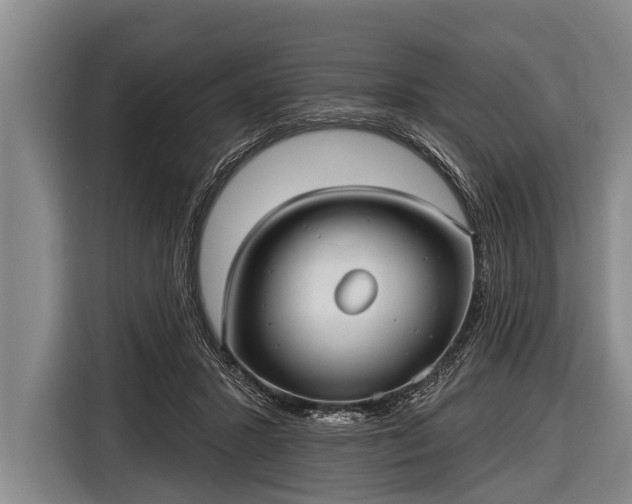X0000116850407200912291244