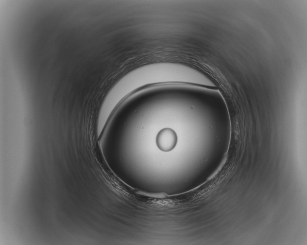 X0000116850409200912291244