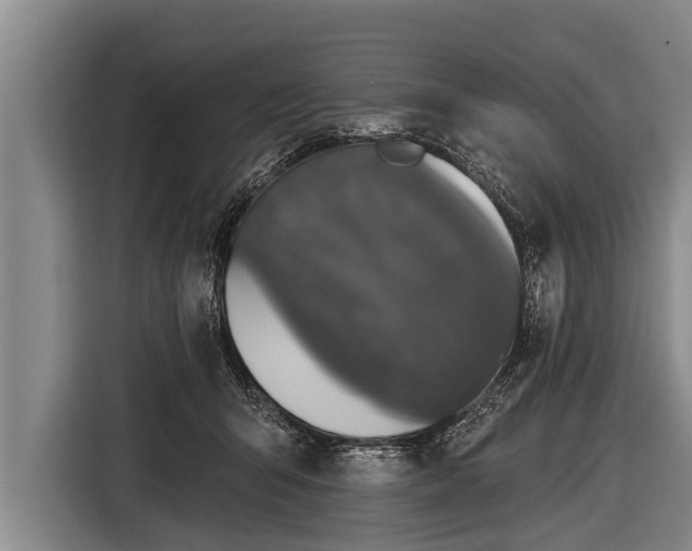 X0000116850415200912291244