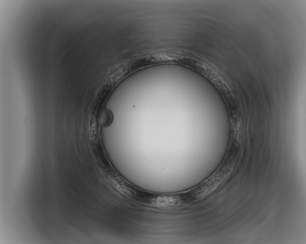X0000116850418200912291244