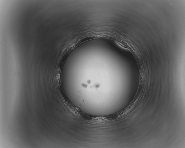 X0000116850427200912291244