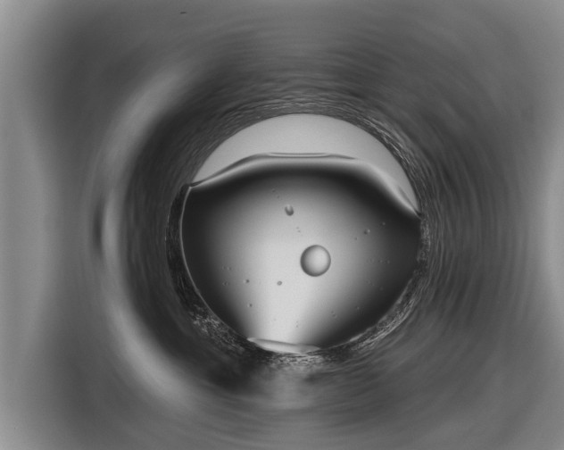 X0000116850429200912291244