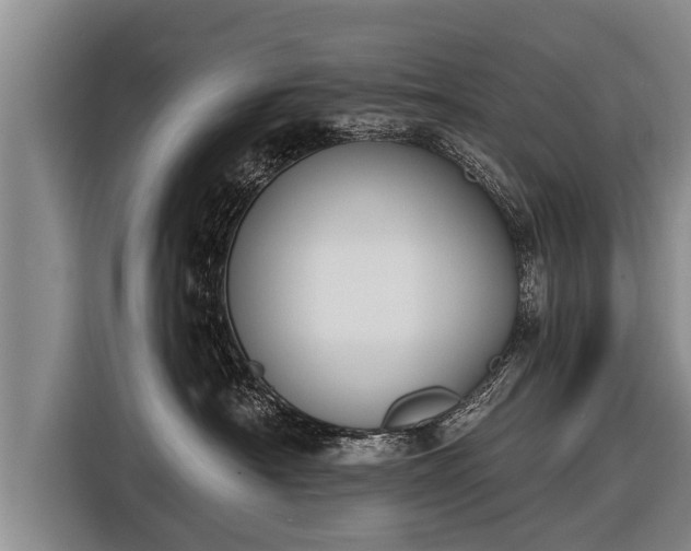 X0000116850430200912291244