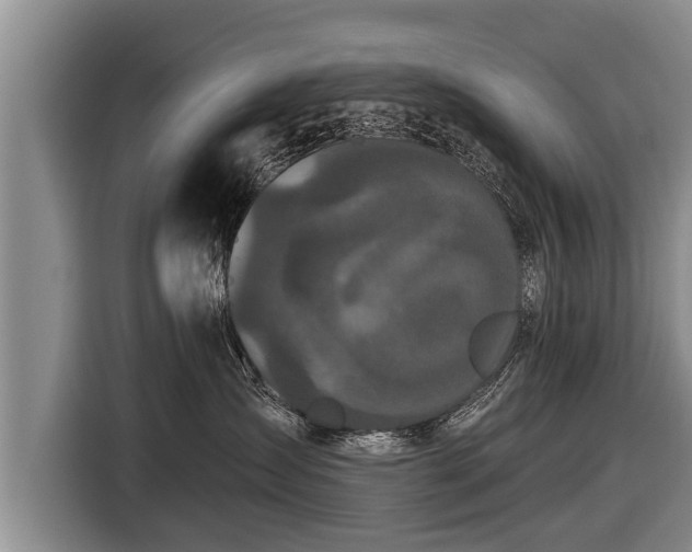X0000116850431200912291244