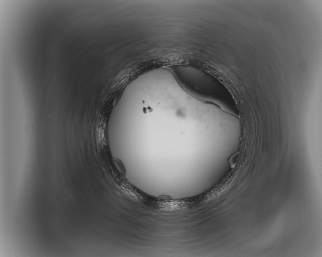 X0000116850432200912291244