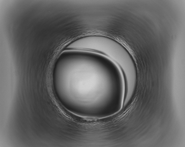 X0000116850433200912291243