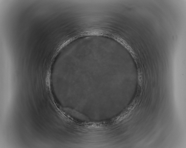 X0000116850434200912291243