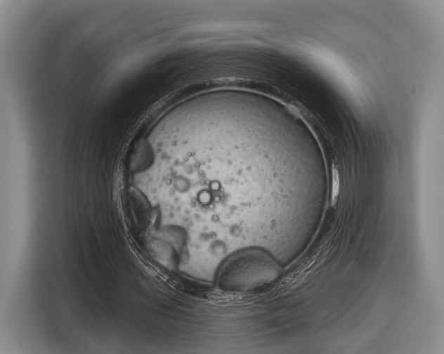 X0000116850435200912291243