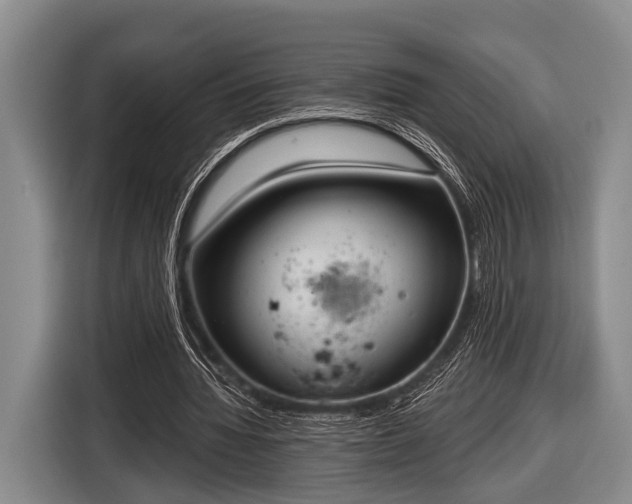 X0000116850436200912291243