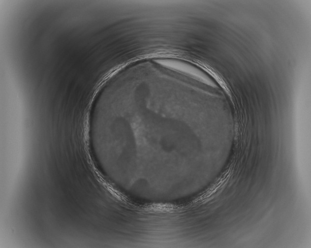 X0000116850437200912291243