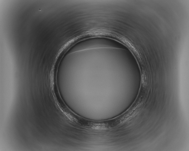 X0000116850438200912291243