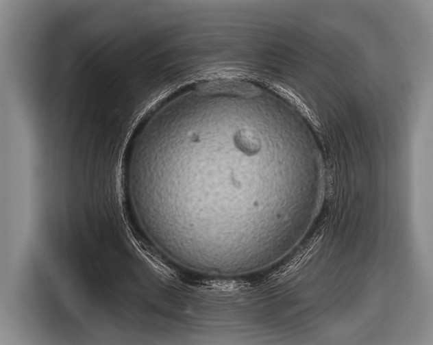X0000116850439200912291243