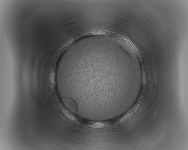 X0000116850441200912291243