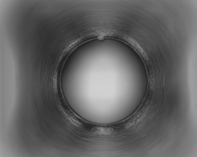 X0000116850442200912291243