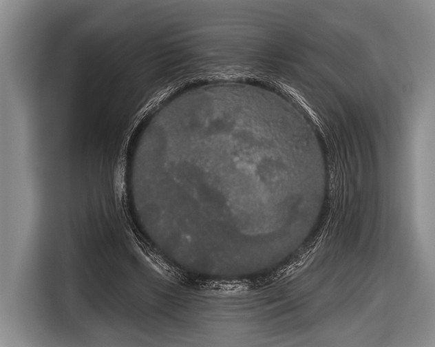 X0000116850443200912291243