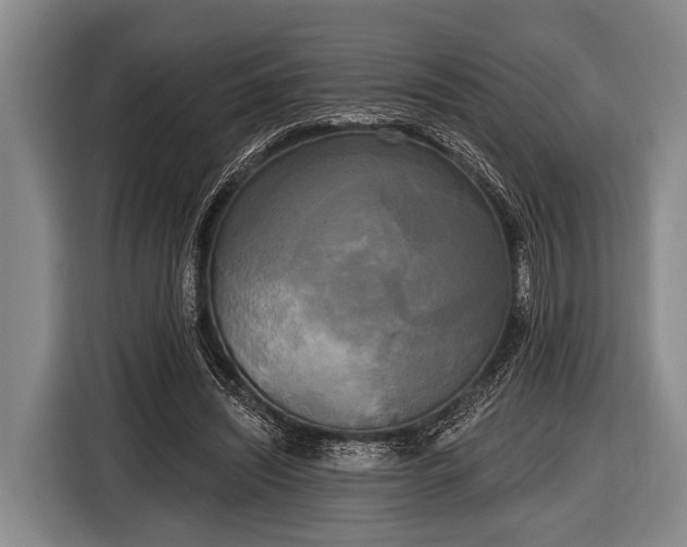 X0000116850444200912291243