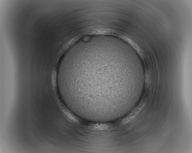 X0000116850445200912291243