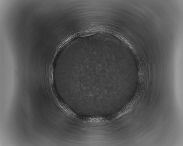X0000116850446200912291243