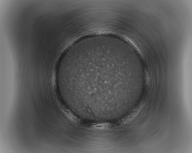 X0000116850447200912291243