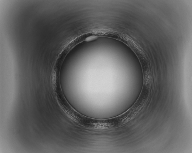 X0000116850448200912291243