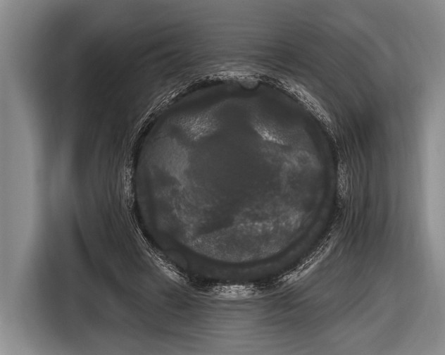 X0000116850449200912291243