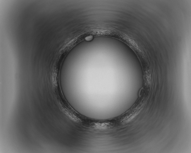 X0000116850450200912291243