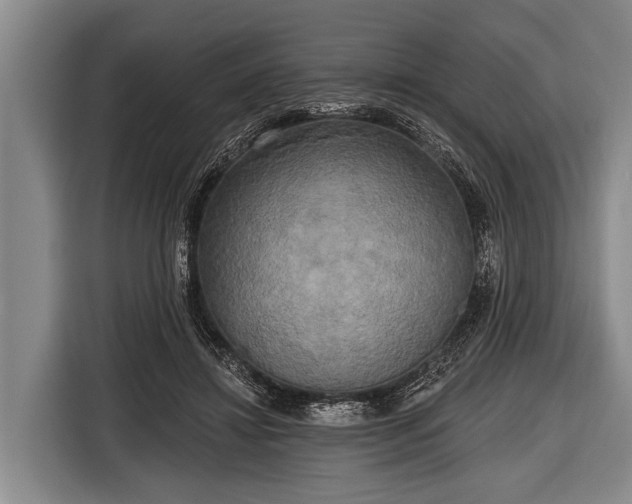 X0000116850452200912291243