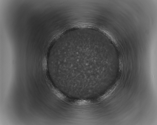 X0000116850453200912291243