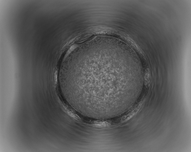 X0000116850454200912291243