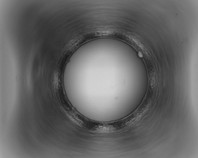 X0000116850455200912291243