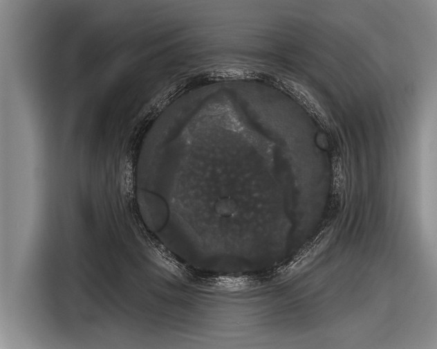 X0000116850457200912291243